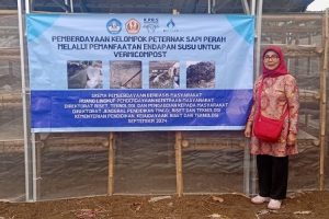 CacingVermicompostjpg