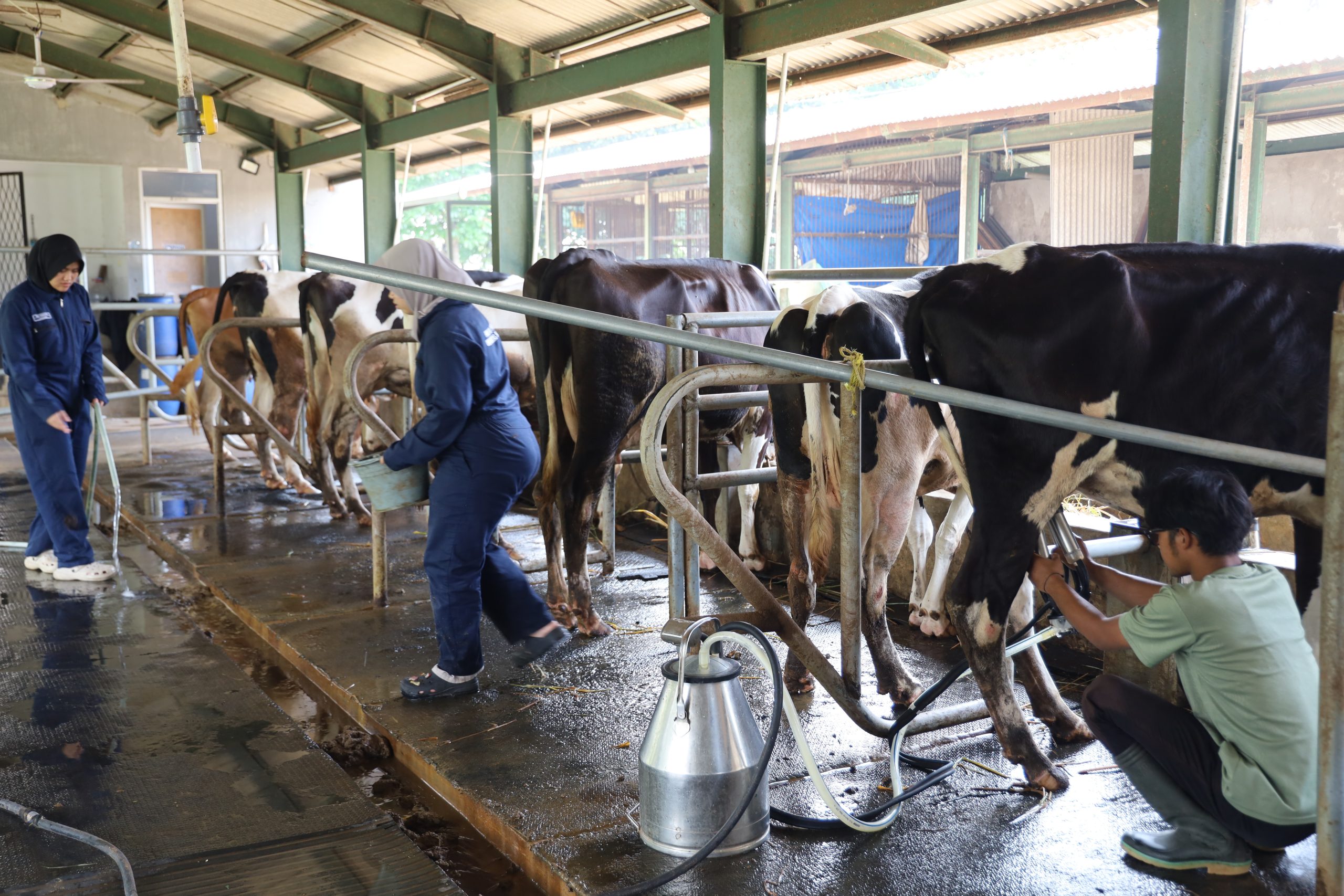 PENDEKATAN CIRCULAR BIOECONOMY PADA PEMANFAATAN FESES SAPI PERAH UNTUK PRODUKSI ECOBLOCK