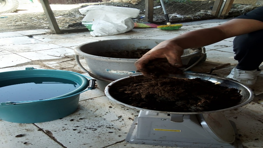 Pengukuran atau penimbangan sampel EcoBlock